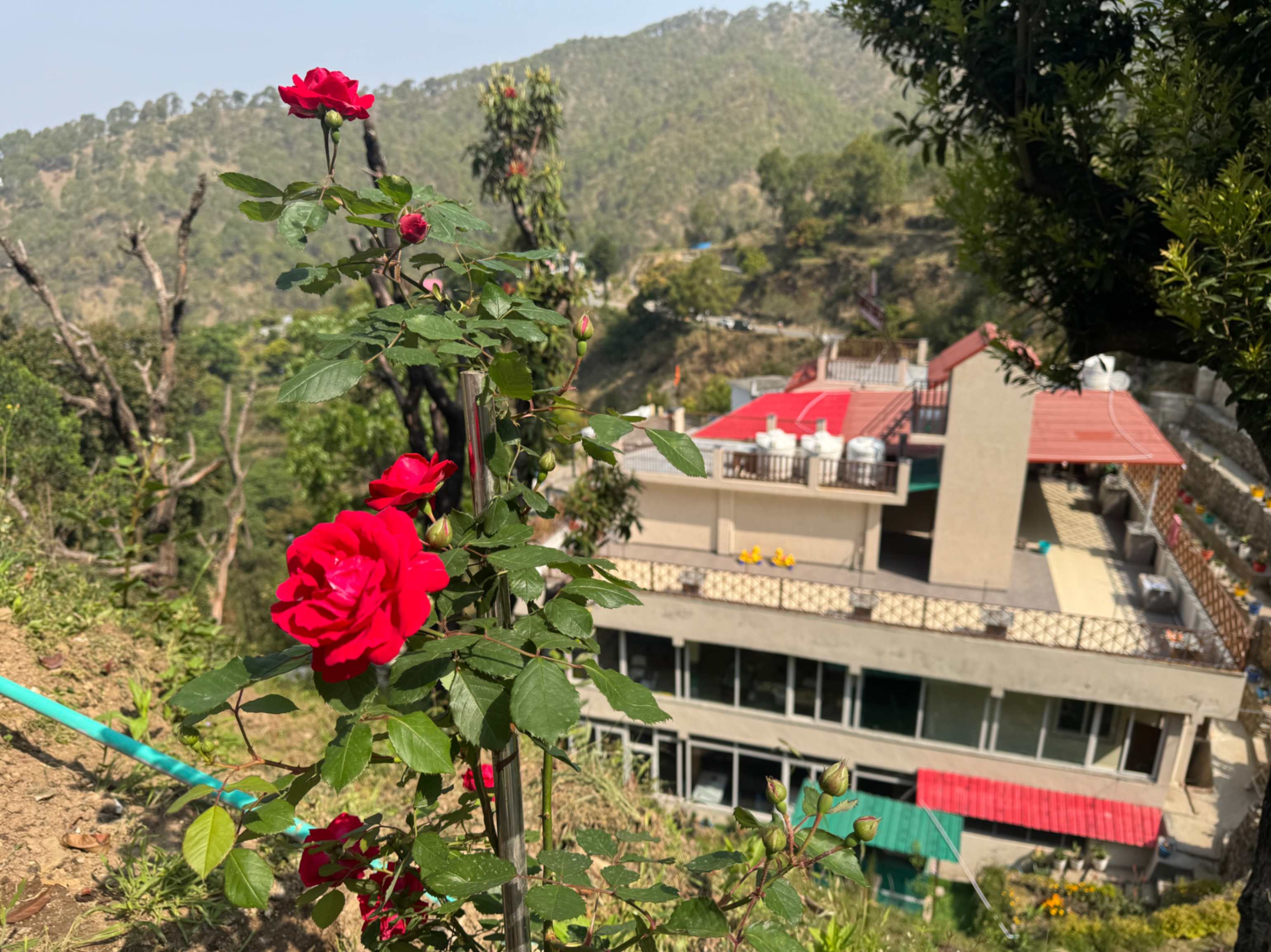 Scenery View of Hillcrest Hotel